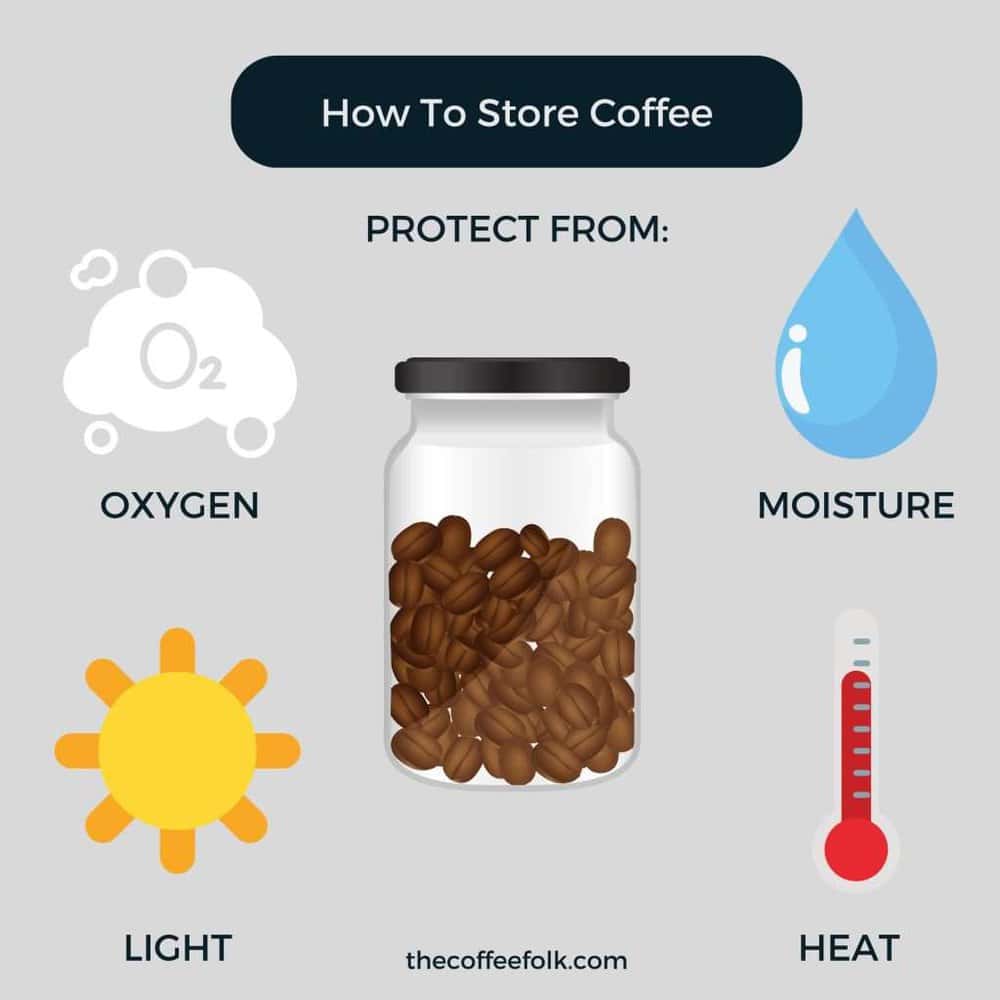 Which Type of Coffee Canister Is Best For Storing Your Beans? – Fellow