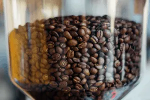 Coffee beans in a hopper of a burr coffee grinder