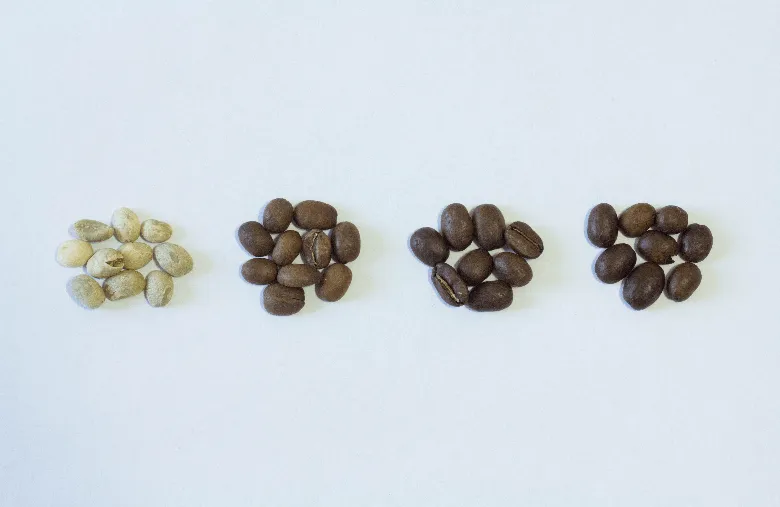 Photo of green, light, medium and dark roasted coffee beans