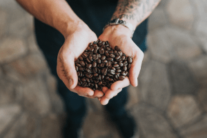 Photo of man holding dark roasted coffee beans