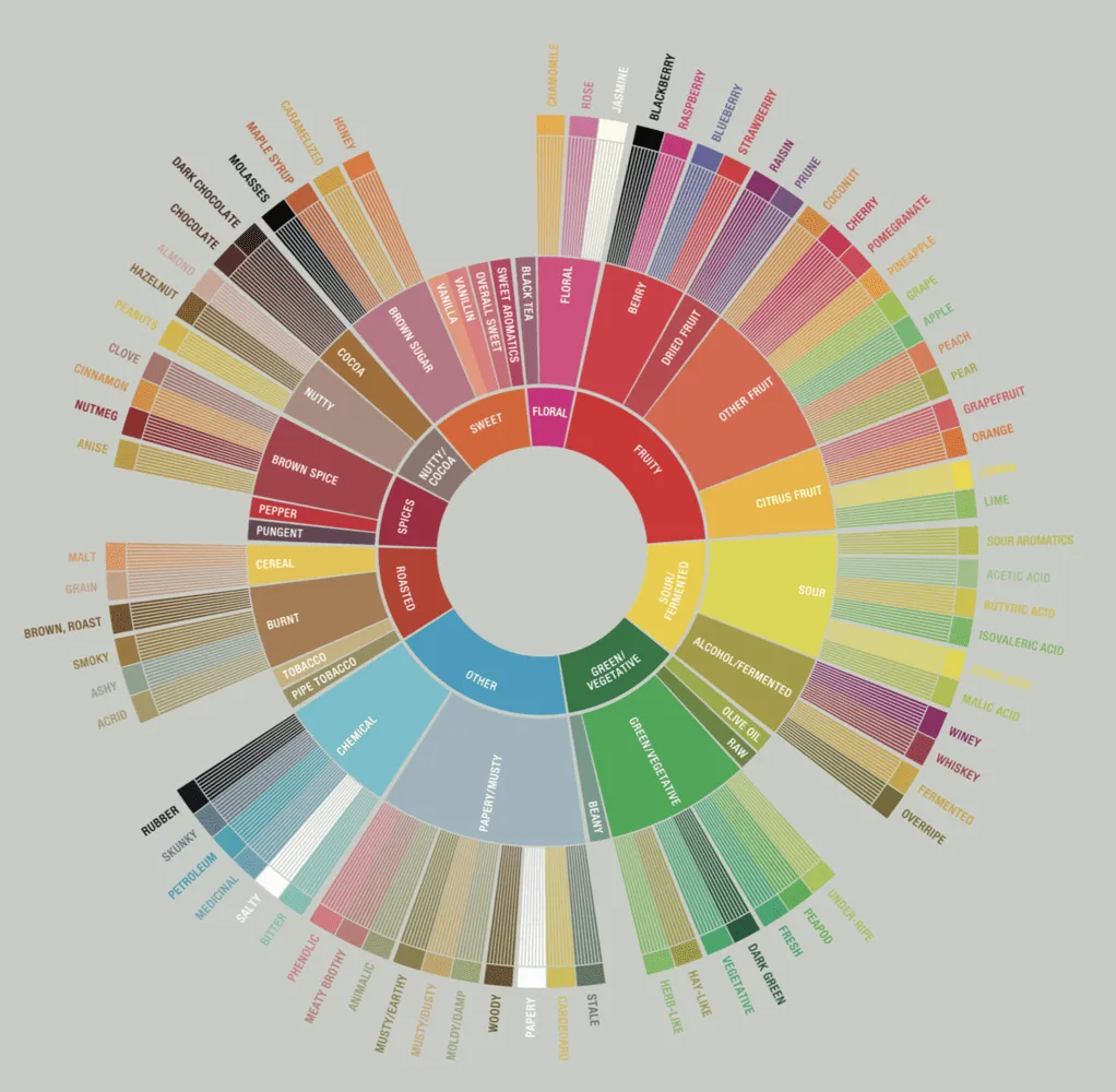 Understanding The Coffee Flavor Wheel | The Coffee Folk