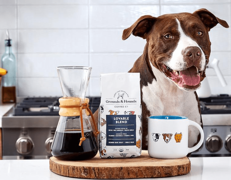 Dog with Coffee